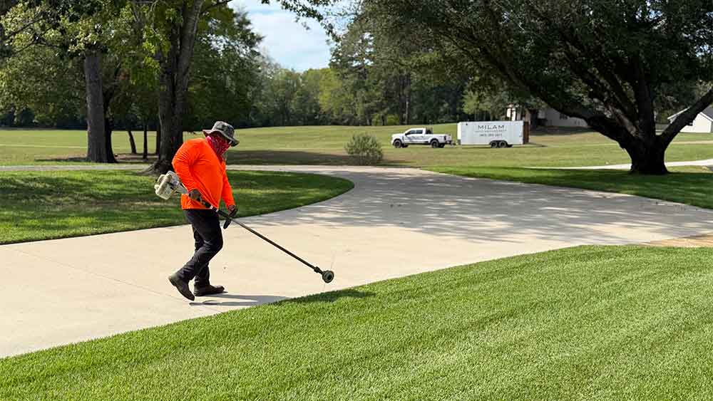 Lawn Mowing & Weed Eating
